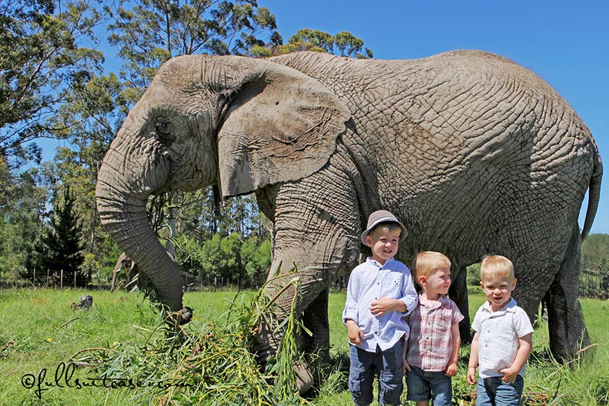 South Africa with Kids: Where to Go, Trip Itinerary & Travel Tips