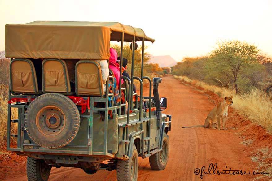 African Safari Tips & Things to Know Before Going on Safari in Africa