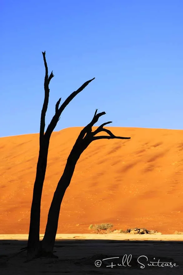 Deadvlei at sunrise. Sossusvlei Namibia