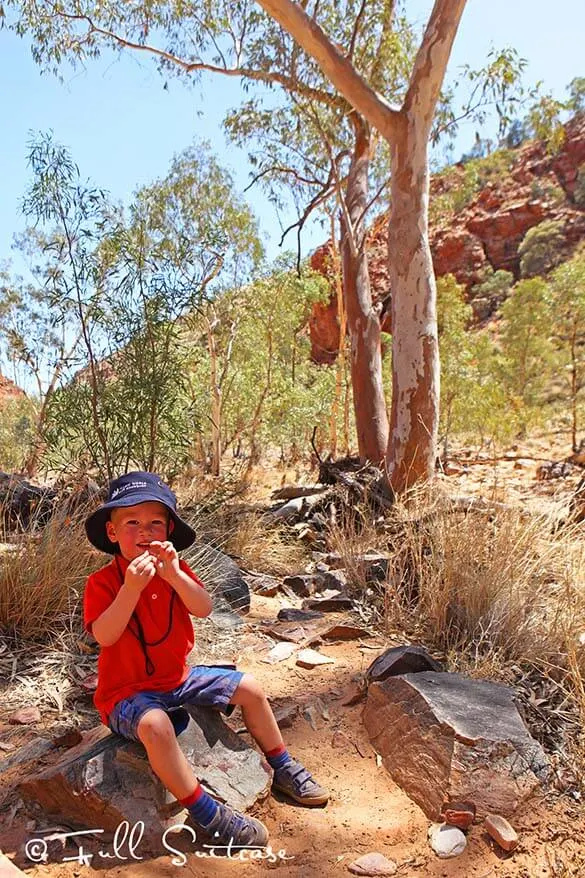 Walking to Redbank Gorge walk with young kids