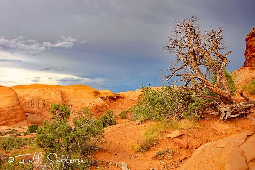 Hiking the Delicate Arch trail 