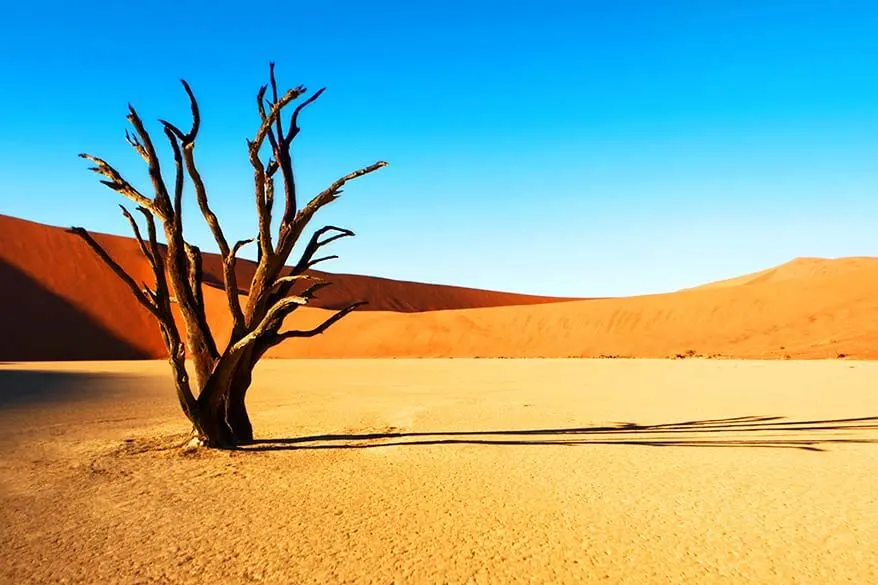 Deadvlei Namibia