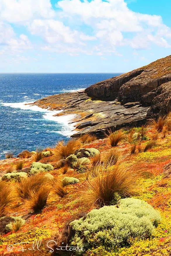 Flinders Chase National Park on Kangaroo Island Australia