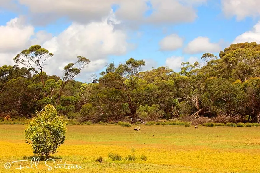 Scenery of Flinders Chase National Park on Kangaroo Island