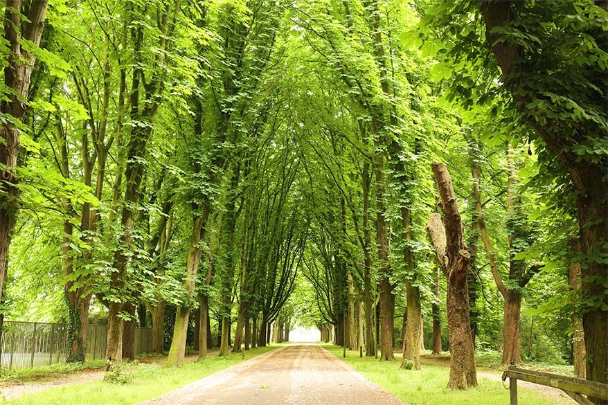 Rivierenhof is one of the most beautiful parks of Antwerp