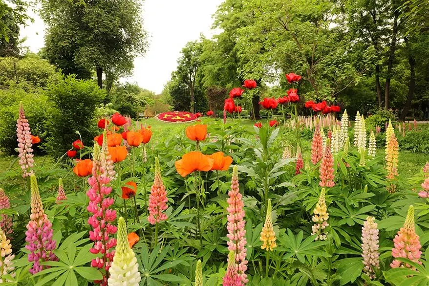 Spring flowers in Cismigiu park in Bucharest