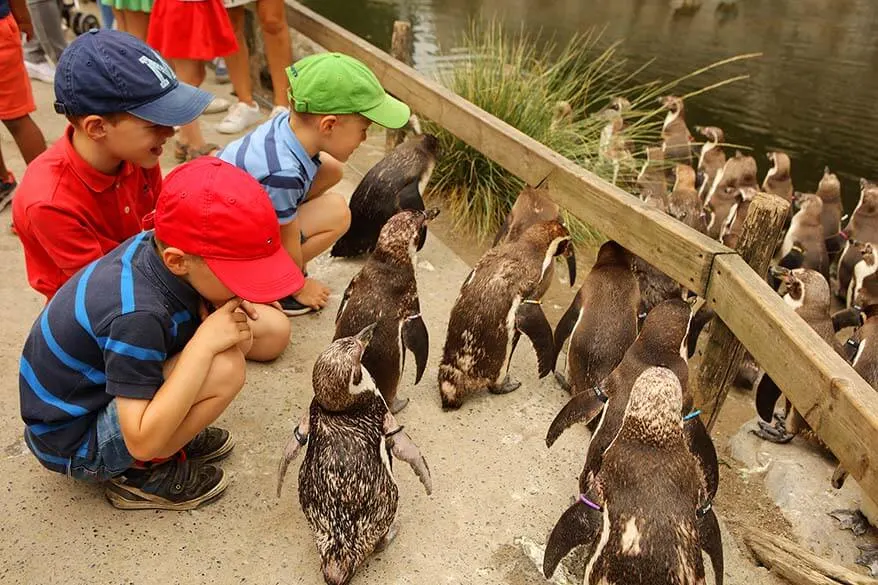 So many great reasons to (re) visit Planckendael animal park near Mechelen in Belgium