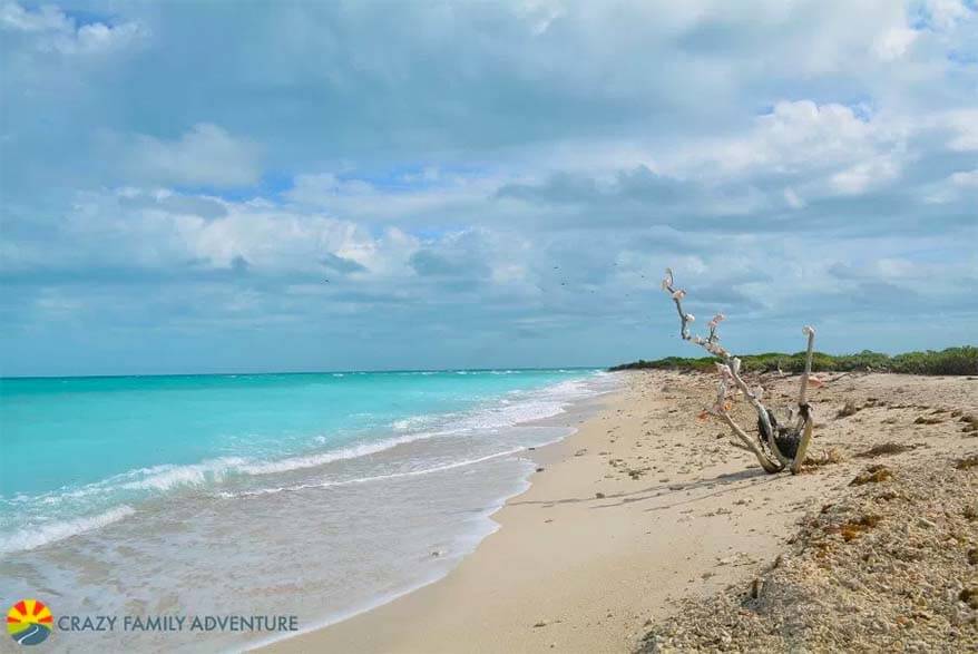 Dry Tortugas National Park is a true hidden gem of Florida