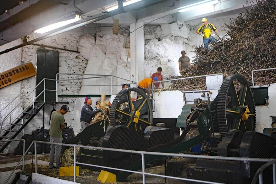 Calheta sugar cane factory in Madeira