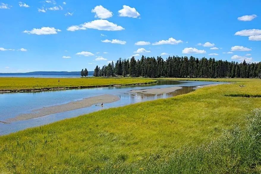 Beautiful scenery along Yellowstone Grand Loop Road