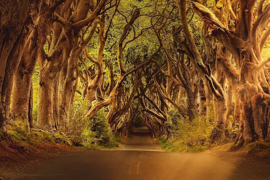 Best Game of Thrones tours