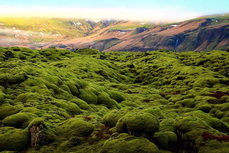 Eldhraun lava fields next to the Ring Road in Southern Iceland