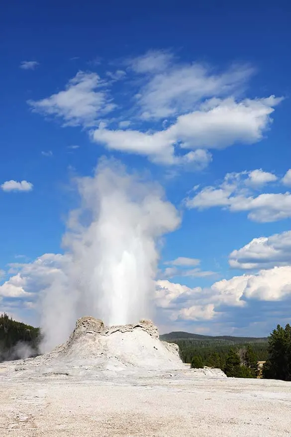 Erupting Castle Geyser in the Upper Geyser Basin in Yellowstone