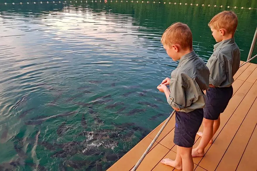 Kids feeding the fish from the terrace of our floating tent in the Rainforest Camp, Thailand