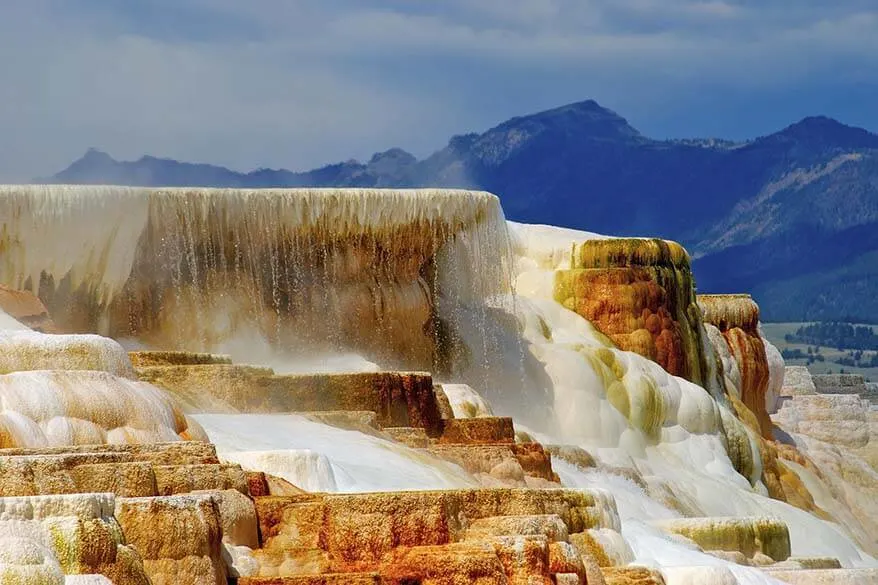 Minerva Terrace - one of the main highlights of Mammoth Hot Springs in Yellowstone