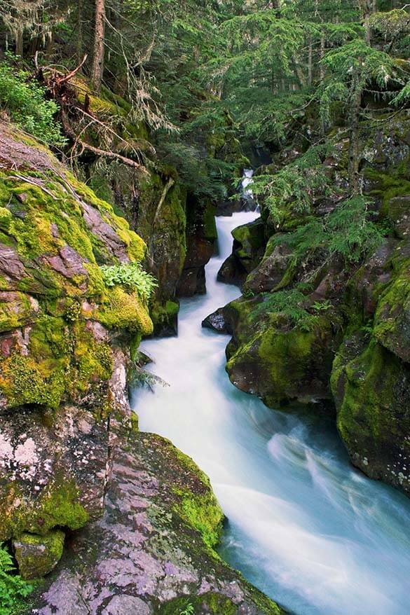 Avalanche Creek - Glacier National Park