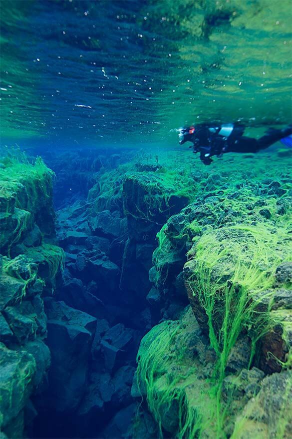 Silfra Fissure snorkeling in Thingvellir National Park in Iceland