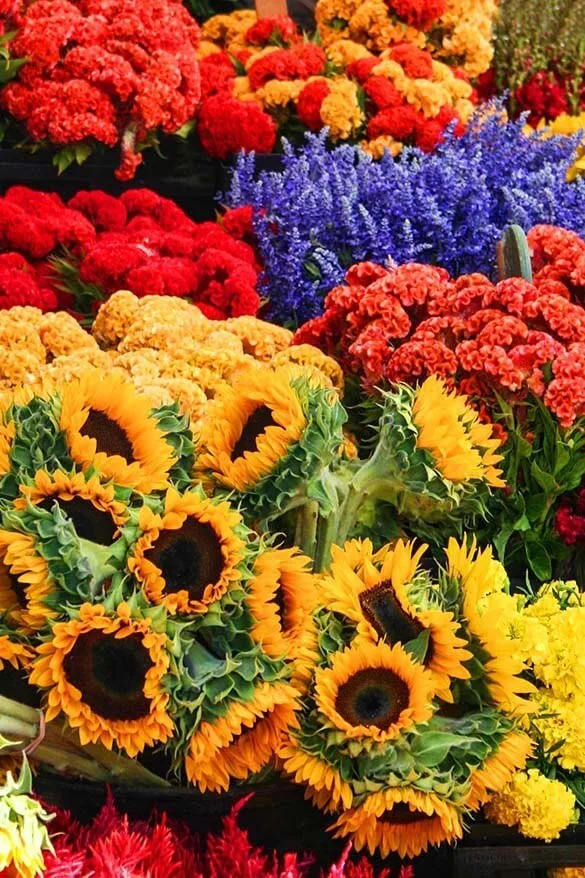 Columbia Road Flower Market in London