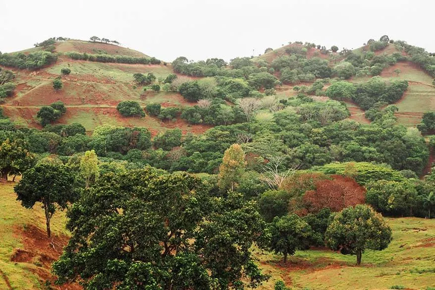 Heritage Nature Reserve is one of the best places to see in Mauritius