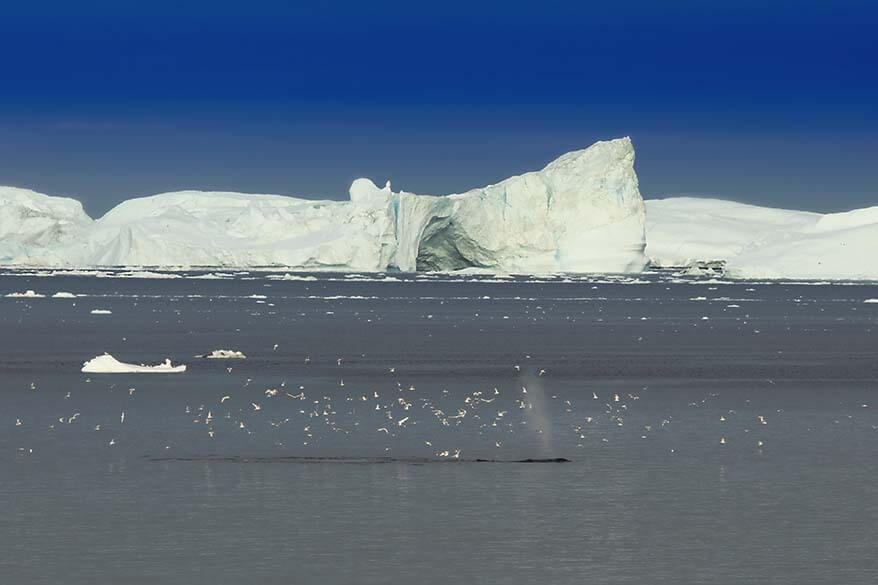 Disko Bay in Greenland