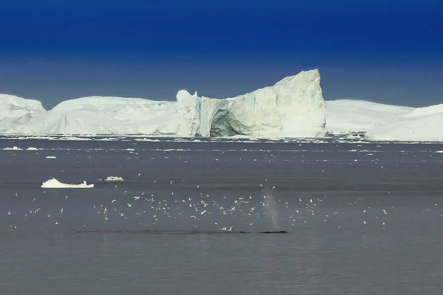 Disko Bay in Greenland