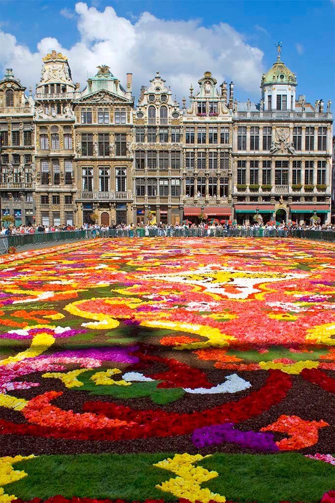 Brussels Flower Carpet 2008