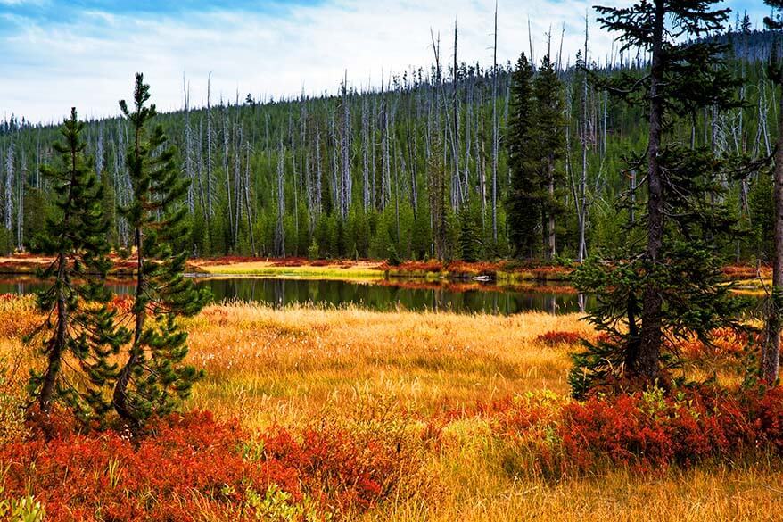 Colorful landscape of Yellowstone in the fall