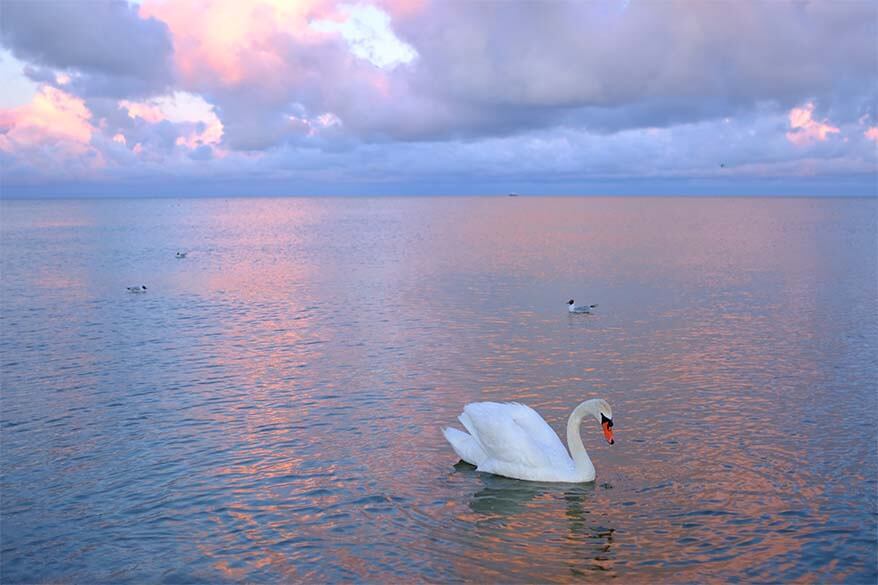 Curonian Lagoon at sunset - Nida Lithuania