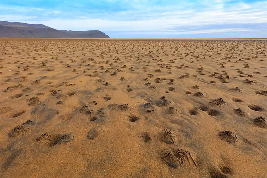 Raudisandur beach in the Westfjords