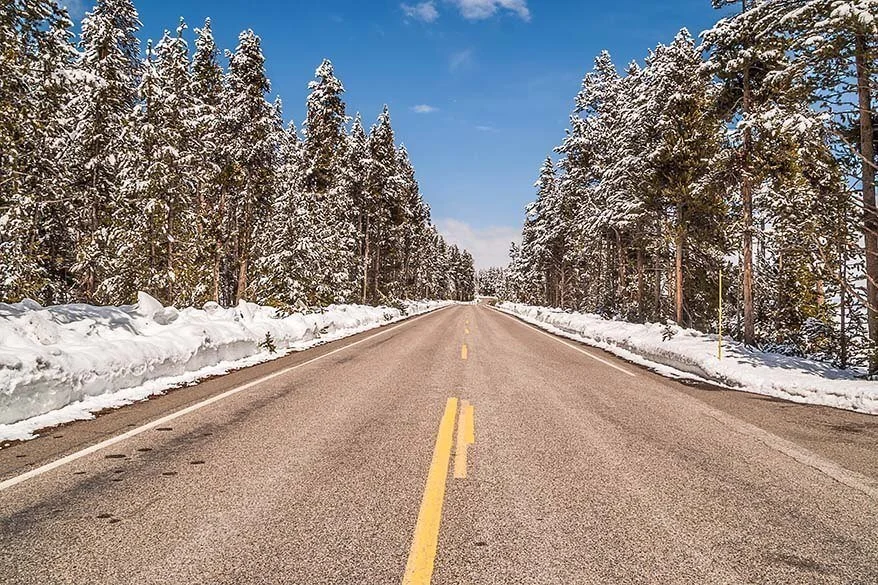 Road in Yellowstone in May