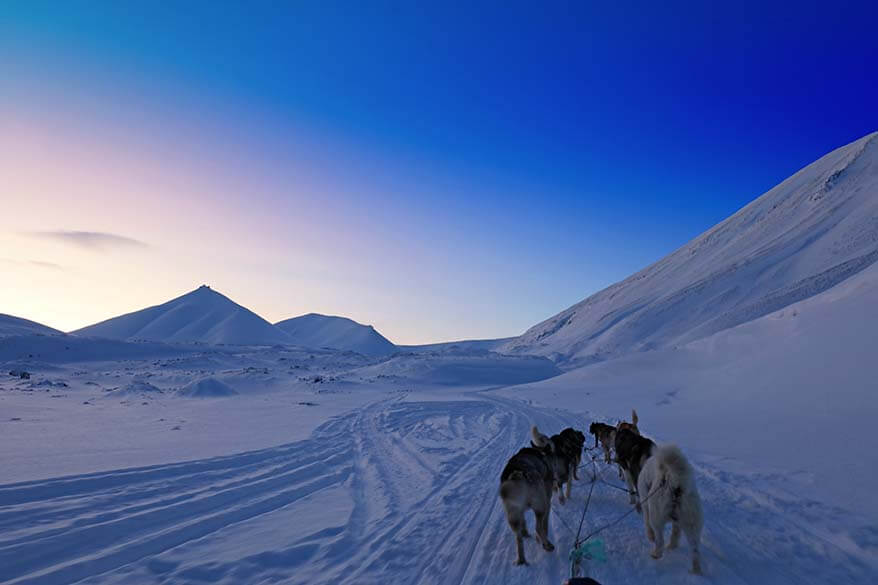 Dog sledding in Svalbard - one of the best things to do in winter