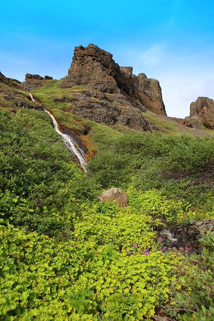 Green landscape in Greenland - Disko Island