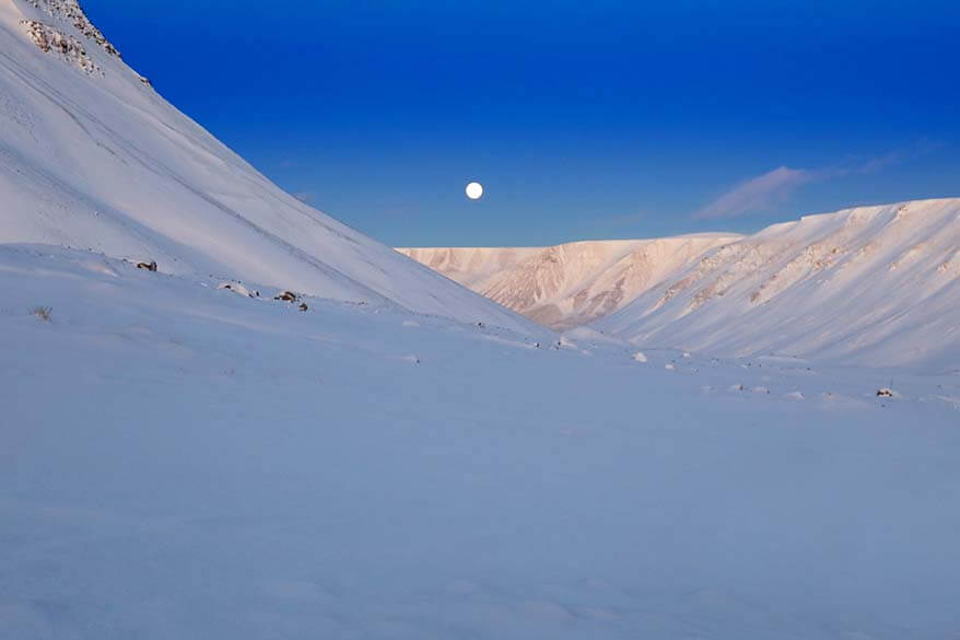 Spitsbergen in winter