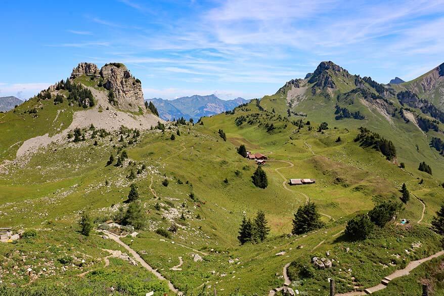 Schynige Platte hiking trails