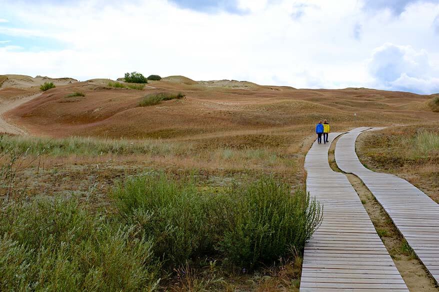 Cognitive Trail in Nagliai Nature Reserve on the Curonian Spit in Lithuania