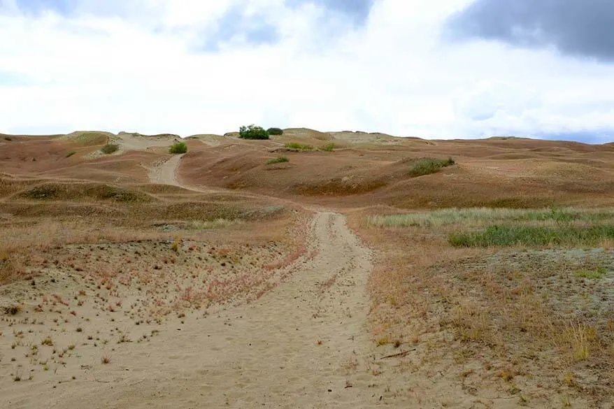 Dead Dunes at Nagliai Nature Reserve on the Curonian Spit