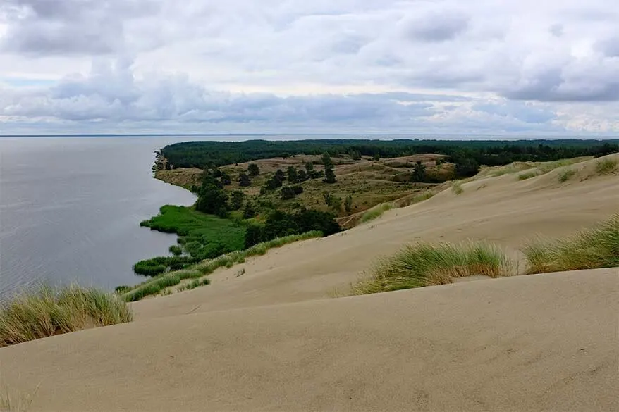 Grey Dunest at Nagliai Nature Reserve on the Curonian Spit