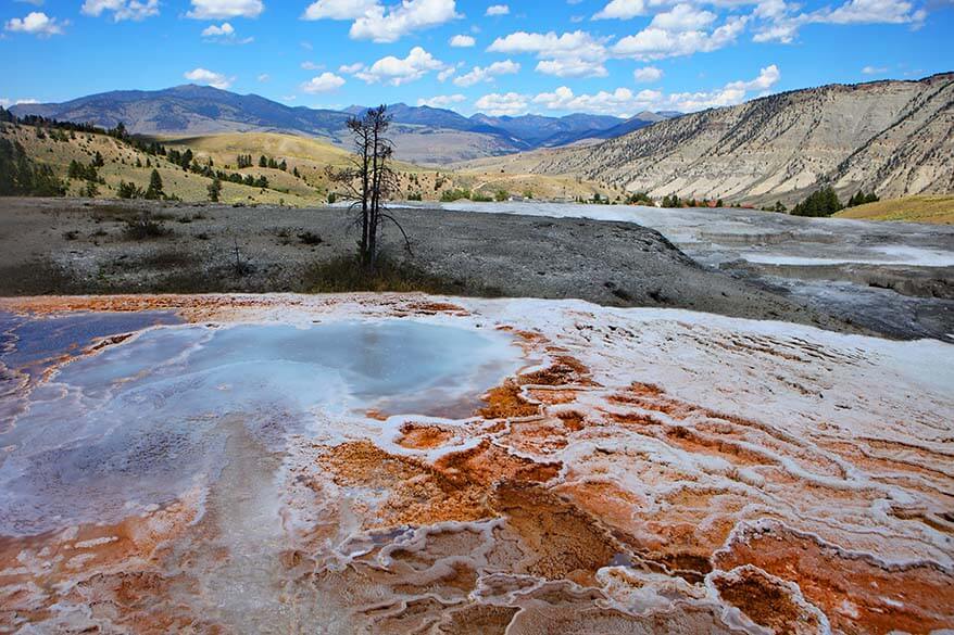 Mammoth Hot Springs