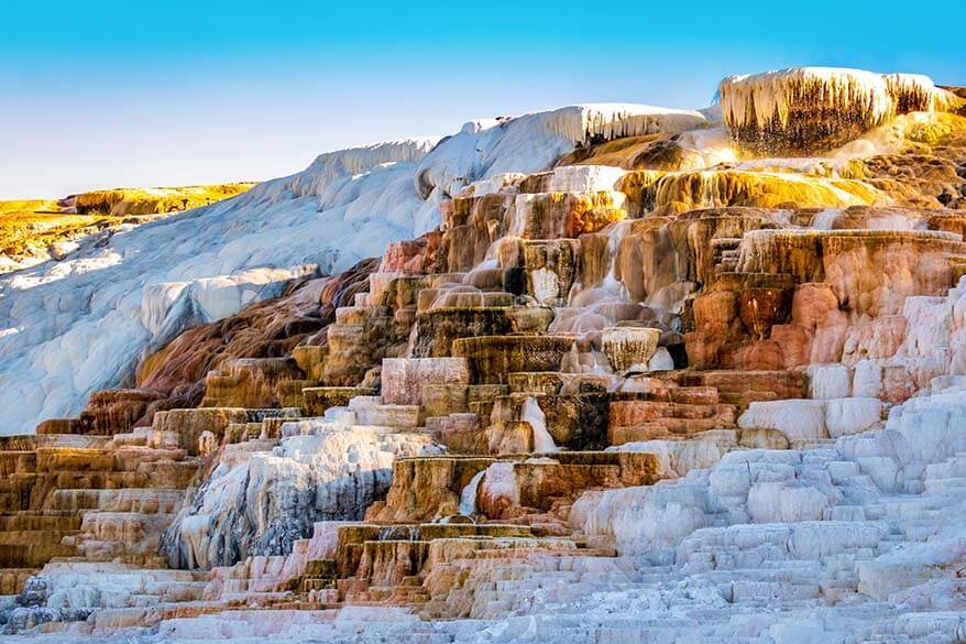 Palette Springs at Mammoth Hot Springs in Yellowstone