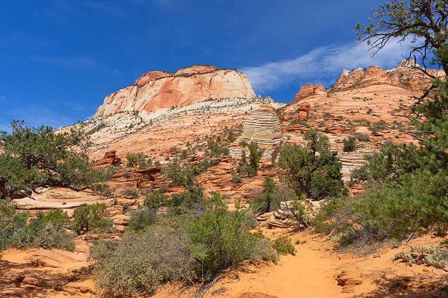 Sandstone mountains at the start of the Zion East Rim Trail