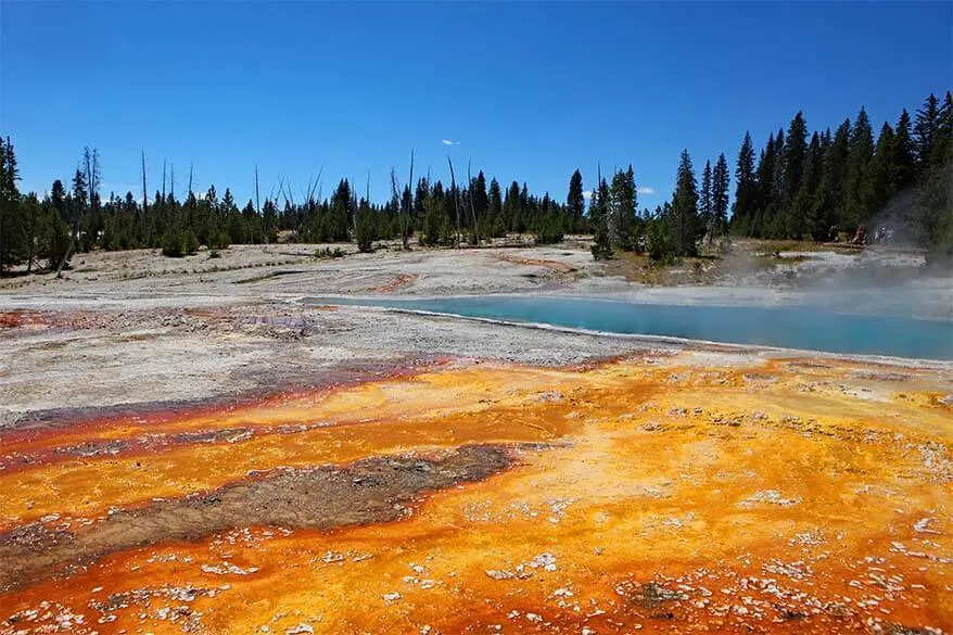 West Thumb Geyser Basin in Yellowstone National Park