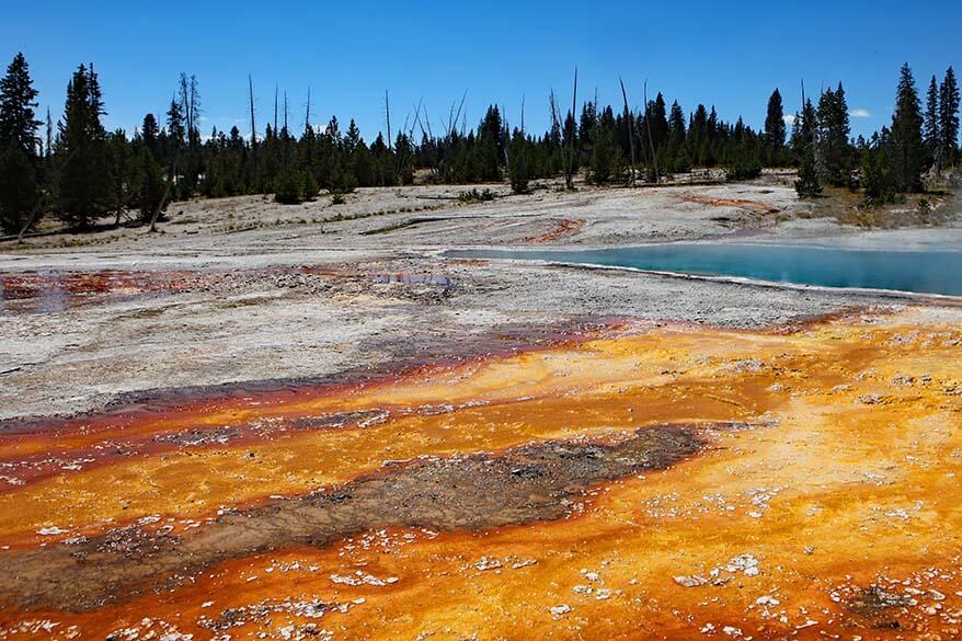 West Thumb Geyser Basin in Yellowstone