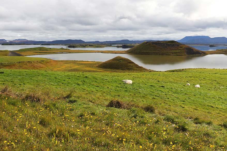 Lake Myvatn