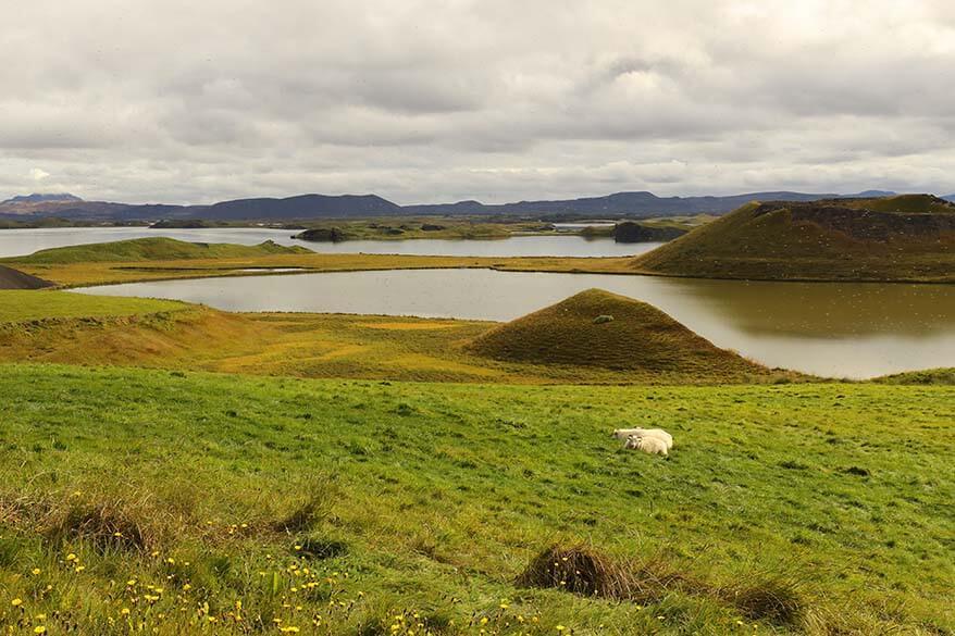 Myvatn