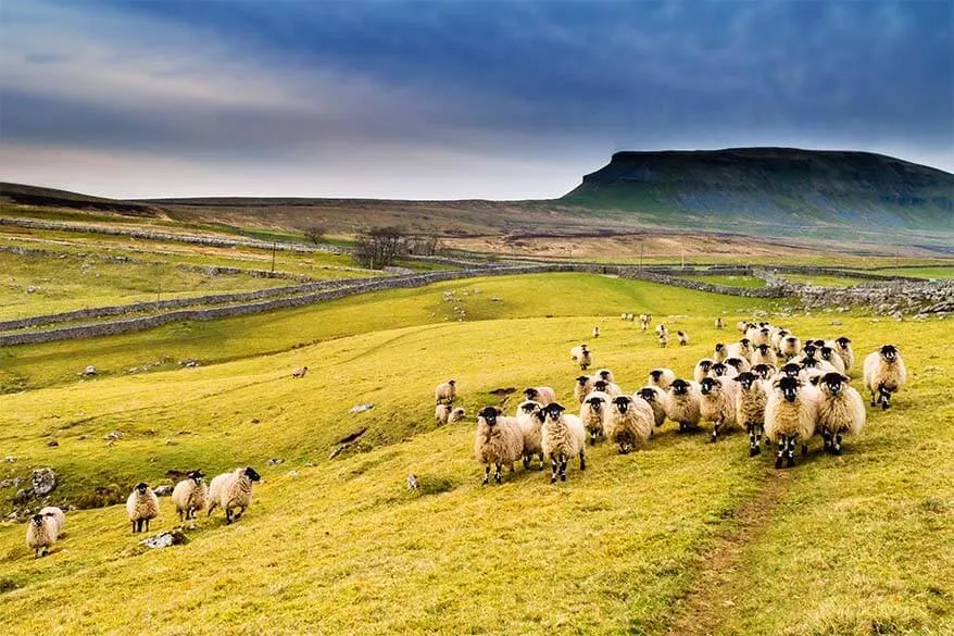 Yorkshire things to do and best day trips