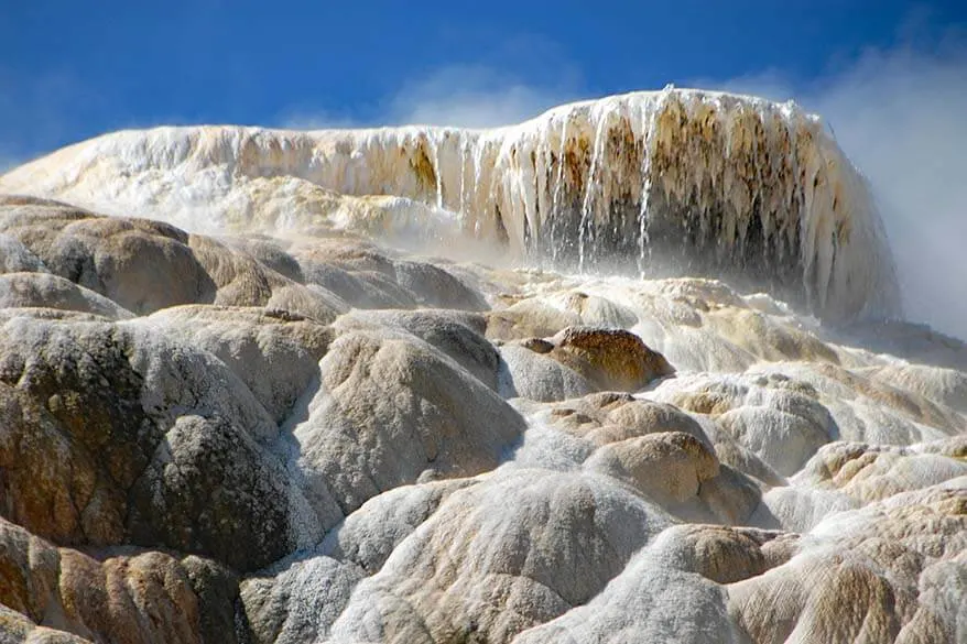 Geothermal Springs of Mammoth Hot Springs area in Yellowstone