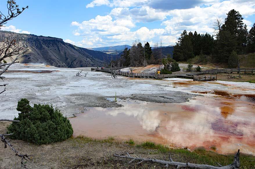 Mammoth Hot Springs Upper Terrace