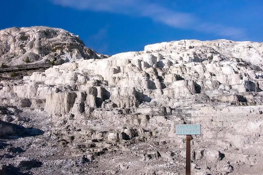 Minerva Terrace - one of the best places to see at Mammoth Hot Springs