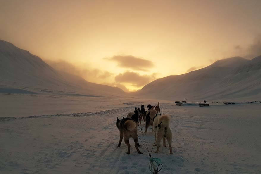 Dog sledding in Svalbard in February