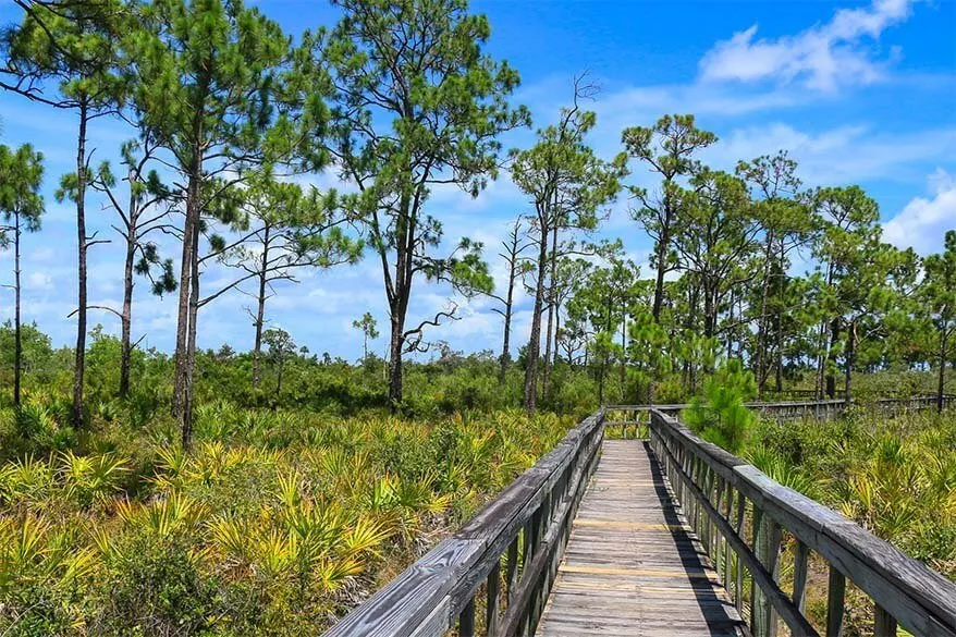 Everglades NP in December